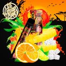 187 E-Shisha Zafari 600 Zge