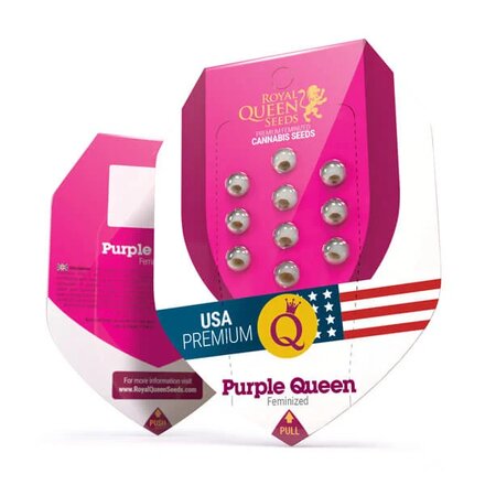 Royal Queen Seeds Cannabis Samen - Purple Queen Feminized - 5 stk.