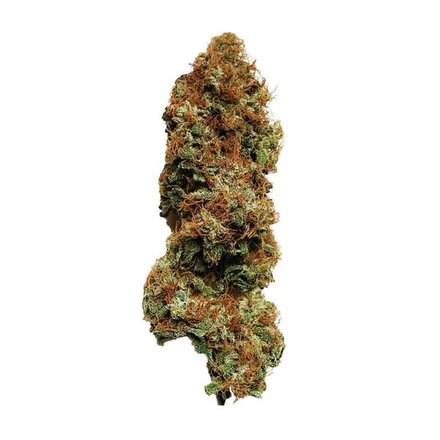 Royal Queen Seeds Cannabis Samen - White Widow Feminized - 5 stk.