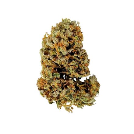 Royal Queen Seeds Cannabis Samen - White Widow Automatic - 5 stk.