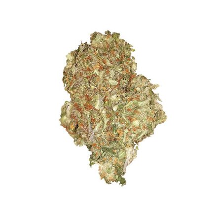 Royal Queen Seeds Cannabis Samen - Quick One Automatic - 5 stk.