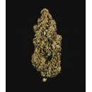 Royal Queen Seeds Cannabis Samen - Purple Queen Automatic...