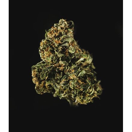 Royal Queen Seeds Cannabis Samen - Royal Dwarf Automatic - 3 stk.