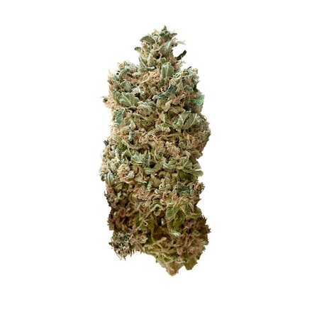 Royal Queen Seeds Cannabis Samen - Royal Skywalker USA Premium Feminized - 5 Samen