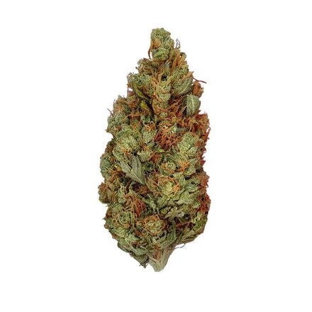 Royal Queen Seeds Cannabis Samen - Green Gelato USA Premium Feminized - 5 Samen