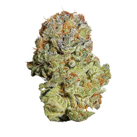 Royal Queen Seeds Cannabis Samen - Fruit Spirit Feminized - 5 Samen