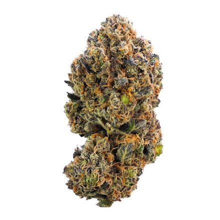 Royal Queen Seeds Cannabis Samen - Sweet ZZ USA Premium Feminized - 3 Samen