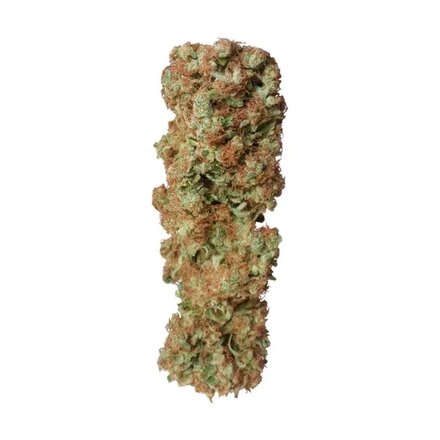 Royal Queen Seeds Cannabis Samen - Candy Kush Express Feminized - 5 Samen