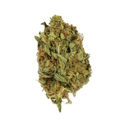 Royal Queen Seeds Cannabis Samen - Kali Dog Feminized - 5 Samen