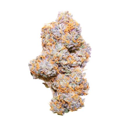 Royal Queen Seeds Cannabis Samen - Purple Punch USA Premium Automatic - 5 Samen