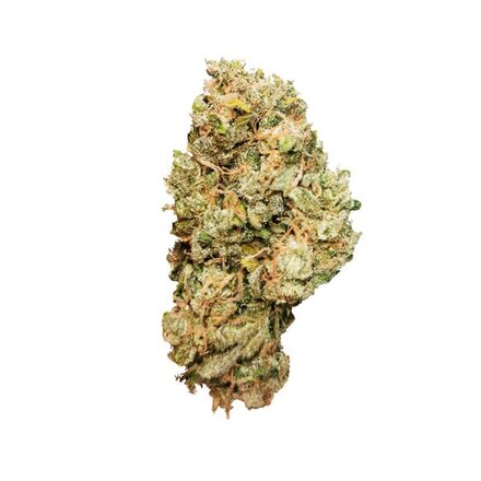 Royal Queen Seeds Cannabis Samen - Royal Cheese Automatic - 5 Samen