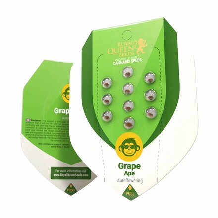 Royal Queen Seeds Cannabis Samen - Grape Ape USA Premium Automatic - 3 Samen