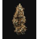 Royal Queen Seeds Cannabis Samen - Hulkberry USA Premium...