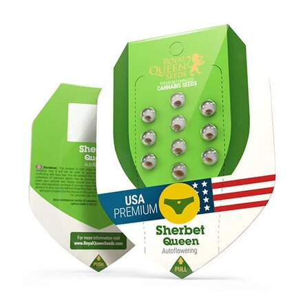 Royal Queen Seeds Cannabis Samen - Sherbet Queen USA Premium Automatic - 3 Samen