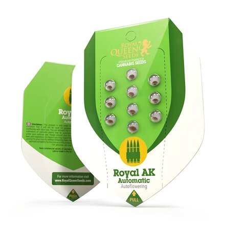 Royal Queen Seeds Cannabis Samen - Royal AK Automatic - 5 Samen
