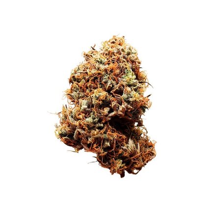 Royal Queen Seeds Cannabis Samen - Diesel Automatic - 5 Samen