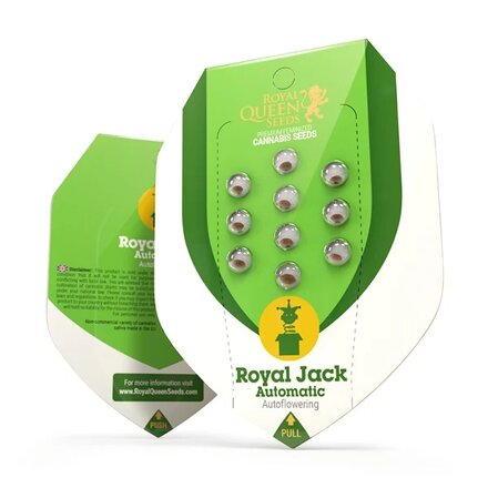 Royal Queen Seeds Cannabis Samen - Royal Jack Automatic - 5 Samen