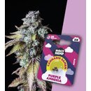 Holy Hemp Cannabis Samen Purple Amnesia